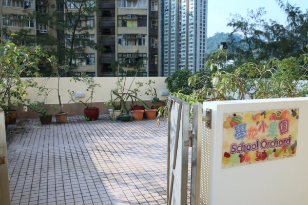 學校小果園