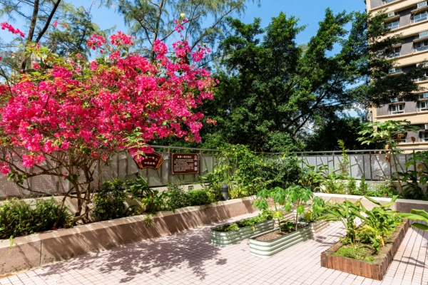 陳贊一博士中草藥園