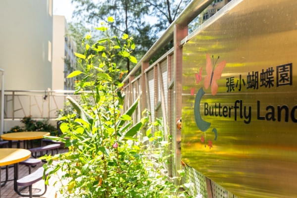 張小蝴蝶園
