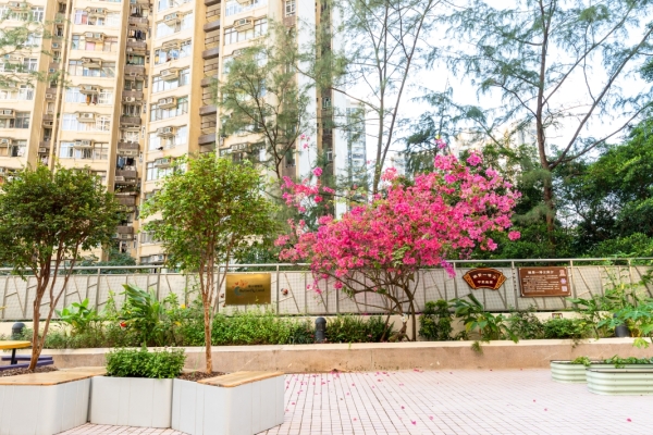 張小蝴蝶園及陳贊一博士中草藥園